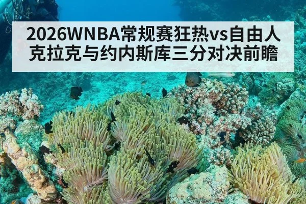 2026WNBA常规赛狂热vs自由人克拉克与约内斯库三分对决前瞻