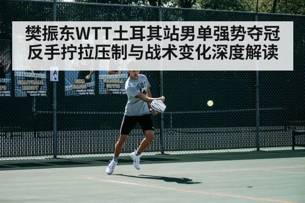 樊振东WTT土耳其站男单强势夺冠 反手拧拉压制与战术变化深度解读