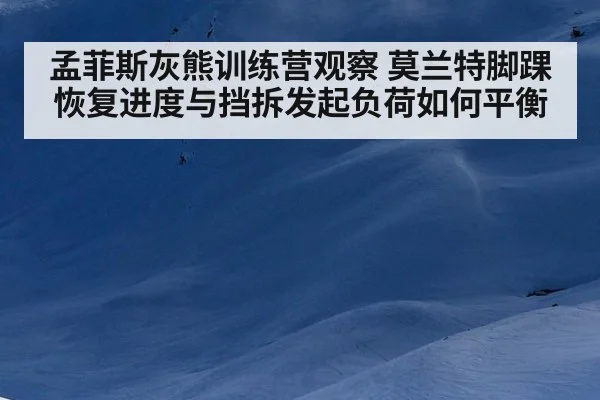 孟菲斯灰熊训练营观察 莫兰特脚踝恢复进度与挡拆发起负荷如何平衡