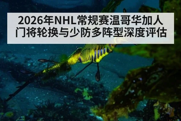 2026年NHL常规赛温哥华加人门将轮换与少防多阵型深度评估