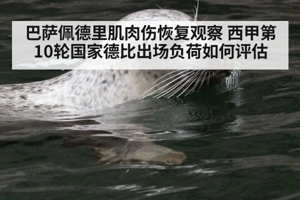 巴萨佩德里肌肉伤恢复观察 西甲第10轮国家德比出场负荷如何评估